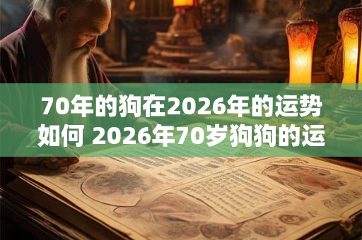 70年的狗在2026年的运势如何 2026年70岁狗狗的运势如何 70年的狗在2026年的运势如何 2026年70岁狗狗的运势如何