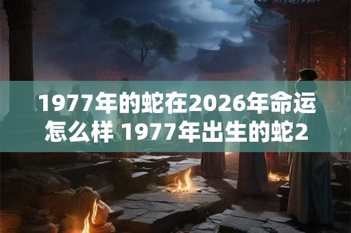 1977年的蛇在2026年命运怎么样 1977年出生的蛇2026年运势如何 1977年的蛇在2026年命运怎么样 1977年出生的蛇2026年运势如何