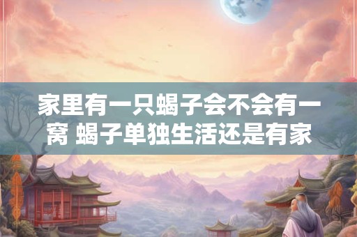 家里有一只蝎子会不会有一窝 蝎子单独生活还是有家人