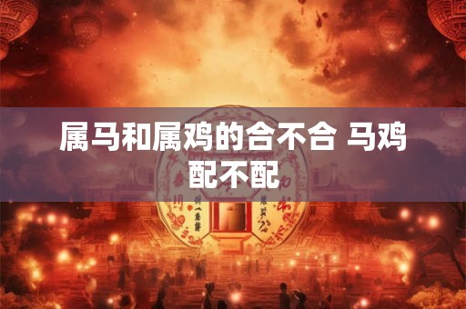 属马和属鸡的合不合 马鸡配不配