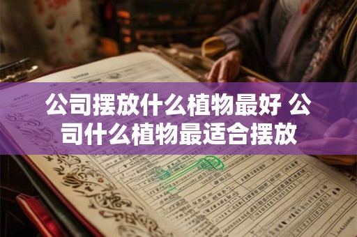 公司摆放什么植物最好 公司什么植物最适合摆放 公司摆放什么植物最好 公司什么植物最适合摆放