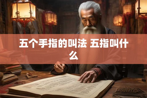 五个手指的叫法 五指叫什么