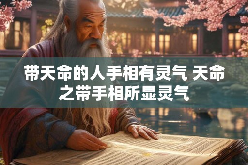 带天命的人手相有灵气 天命之带手相所显灵气