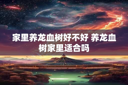家里养龙血树好不好 养龙血树家里适合吗