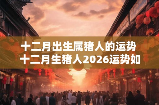 十二月出生属猪人的运势 十二月生猪人2026运势如何