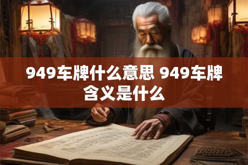 949车牌什么意思 949车牌含义是什么