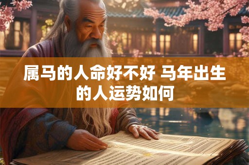 属马的人命好不好 马年出生的人运势如何 属马的人命好不好 马年出生的人运势如何