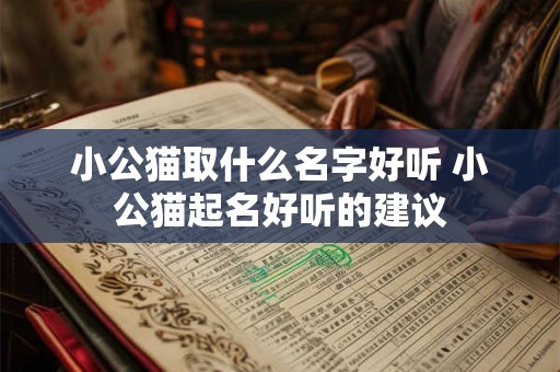小公猫取什么名字好听 小公猫起名好听的建议 小公猫取什么名字好听 小公猫起名好听的建议