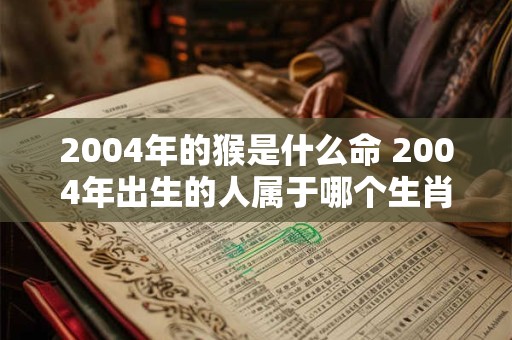 2004年的猴是什么命 2004年出生的人属于哪个生肖