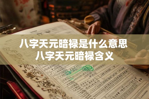 八字天元暗禄是什么意思 八字天元暗禄含义
