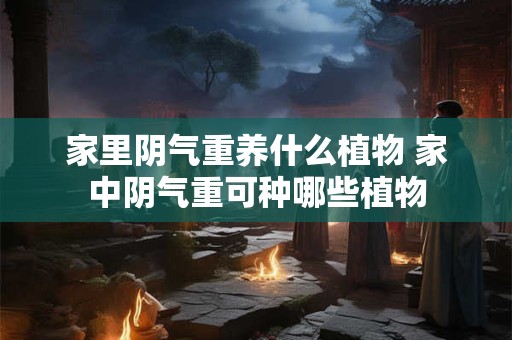 家里阴气重养什么植物 家中阴气重可种哪些植物 家里阴气重养什么植物 家中阴气重可种哪些植物