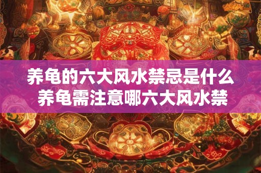 养龟的六大风水禁忌是什么 养龟需注意哪六大风水禁忌