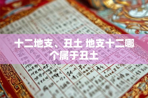 十二地支、丑土 地支十二哪个属于丑土