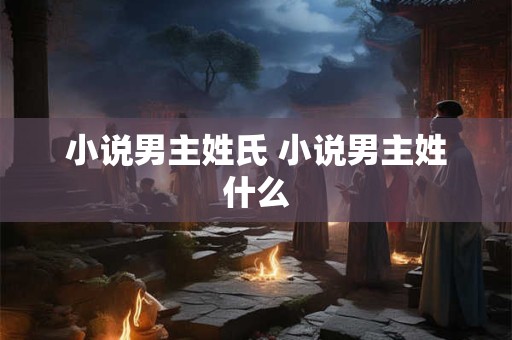 小说男主姓氏 小说男主姓什么 小说男主姓氏 小说男主姓什么