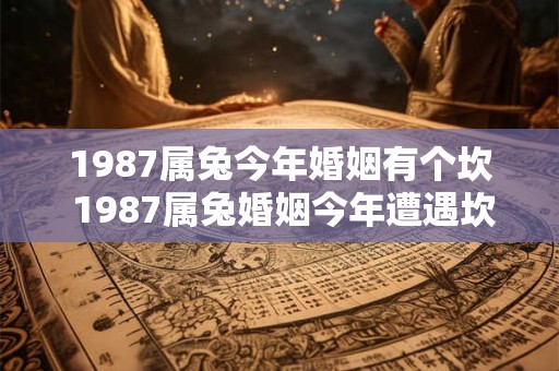 1987属兔今年婚姻有个坎 1987属兔婚姻今年遭遇坎坷