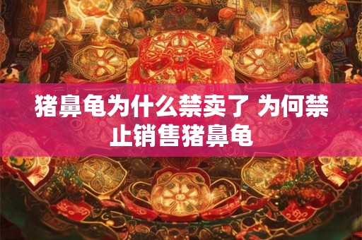 猪鼻龟为什么禁卖了 为何禁止销售猪鼻龟