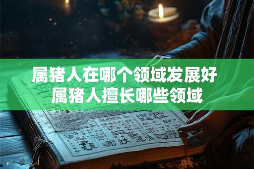 属猪人在哪个领域发展好 属猪人擅长哪些领域 属猪人在哪个领域发展好 属猪人擅长哪些领域