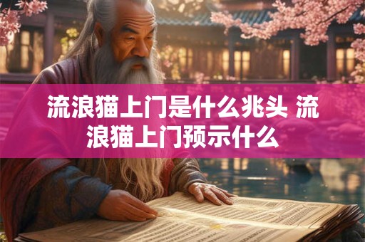 流浪猫上门是什么兆头 流浪猫上门预示什么 流浪猫上门是什么兆头 流浪猫上门预示什么