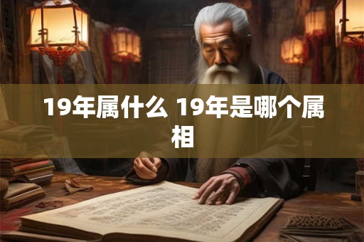 19年属什么 19年是哪个属相 19年属什么 19年是哪个属相