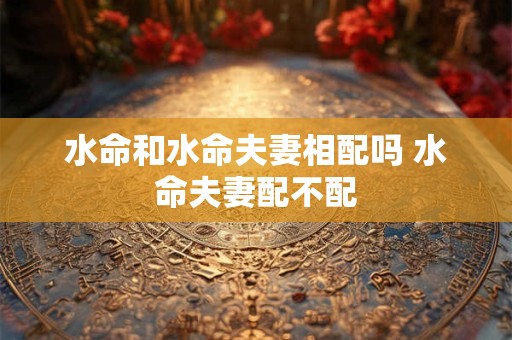 水命和水命夫妻相配吗 水命夫妻配不配 水命和水命夫妻相配吗 水命夫妻配不配