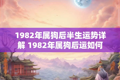 1982年属狗后半生运势详解 1982年属狗后运如何