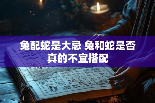 兔配蛇是大忌 兔和蛇是否真的不宜搭配