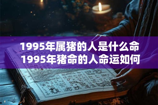 1995年属猪的人是什么命 1995年猪命的人命运如何 1995年属猪的人是什么命 1995年猪命的人命运如何