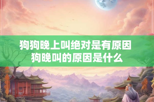 狗狗晚上叫绝对是有原因 狗晚叫的原因是什么