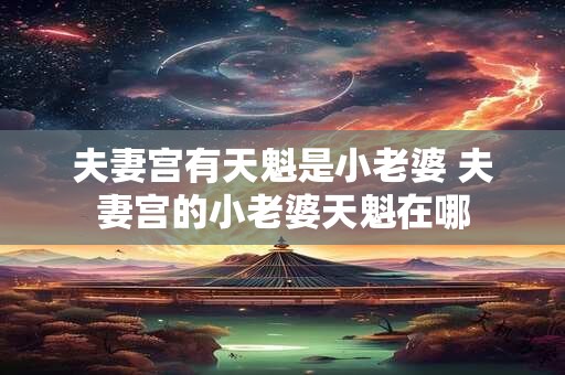 夫妻宫有天魁是小老婆 夫妻宫的小老婆天魁在哪 夫妻宫有天魁是小老婆 夫妻宫的小老婆天魁在哪