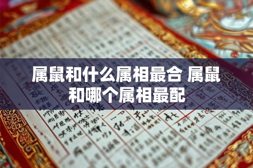 属鼠和什么属相最合 属鼠和哪个属相最配 属鼠和什么属相最合 属鼠和哪个属相最配