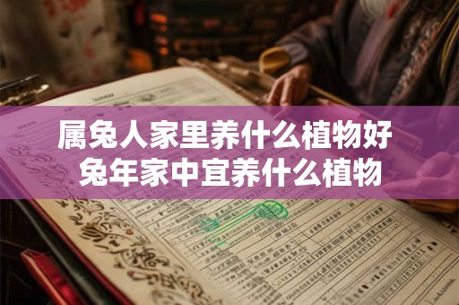 属兔人家里养什么植物好 兔年家中宜养什么植物 属兔人家里养什么植物好 兔年家中宜养什么植物
