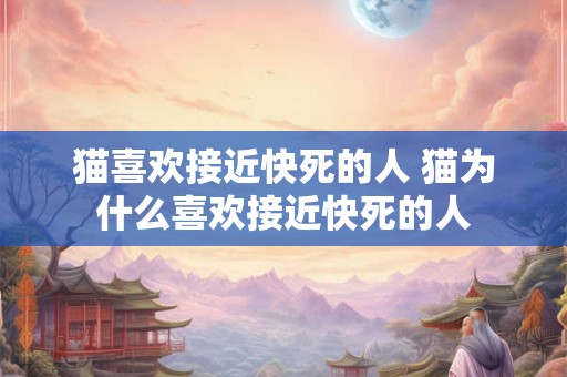 猫喜欢接近快死的人 猫为什么喜欢接近快死的人