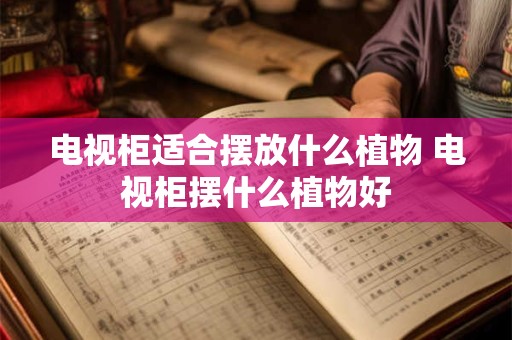 电视柜适合摆放什么植物 电视柜摆什么植物好 电视柜适合摆放什么植物 电视柜摆什么植物好