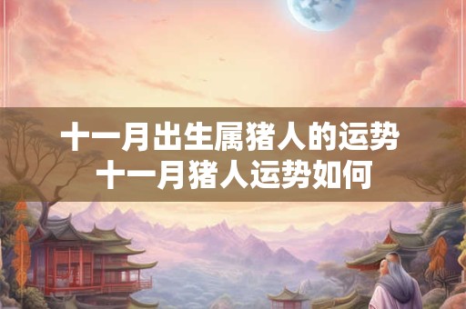 十一月出生属猪人的运势 十一月猪人运势如何 十一月出生属猪人的运势 十一月猪人运势如何