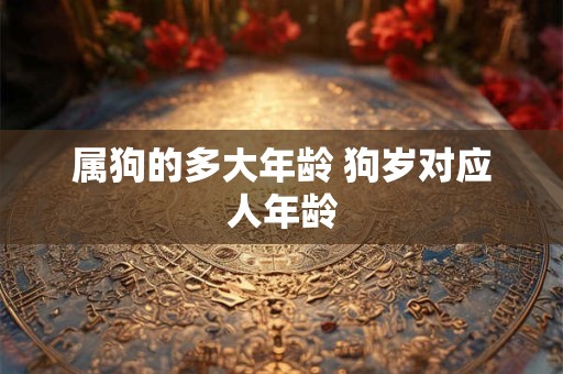 属狗的多大年龄 狗岁对应人年龄