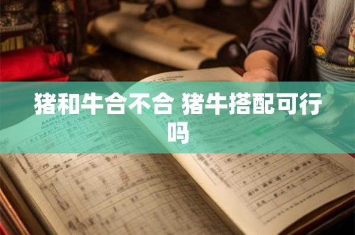 猪和牛合不合 猪牛搭配可行吗 猪和牛合不合 猪牛搭配可行吗