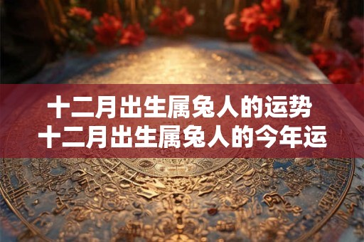 十二月出生属兔人的运势 十二月出生属兔人的今年运势如何 十二月出生属兔人的运势 十二月出生属兔人的今年运势如何