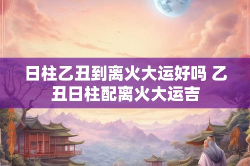 日柱乙丑到离火大运好吗 乙丑日柱配离火大运吉