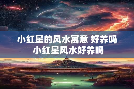 小红星的风水寓意 好养吗 小红星风水好养吗 小红星的风水寓意 好养吗 小红星风水好养吗