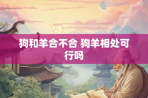 狗和羊合不合 狗羊相处可行吗 狗和羊合不合 狗羊相处可行吗