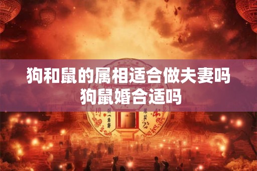 狗和鼠的属相适合做夫妻吗 狗鼠婚合适吗 狗和鼠的属相适合做夫妻吗 狗鼠婚合适吗