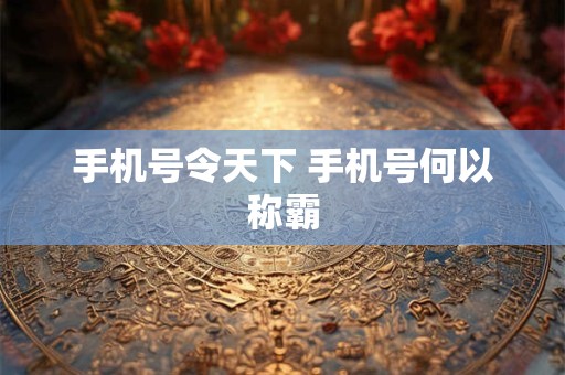 手机号令天下 手机号何以称霸 手机号令天下 手机号何以称霸