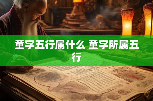 童字五行属什么 童字所属五行 童字五行属什么 童字所属五行