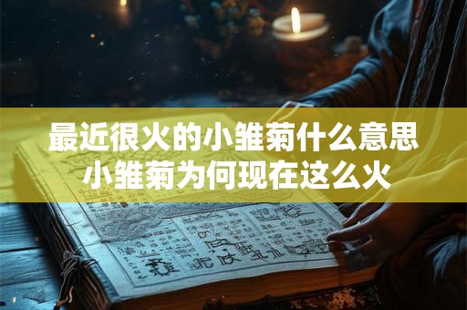 最近很火的小雏菊什么意思 小雏菊为何现在这么火