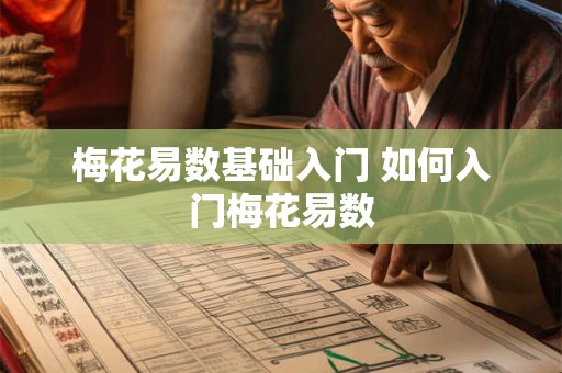 梅花易数基础入门 如何入门梅花易数 梅花易数基础入门 如何入门梅花易数
