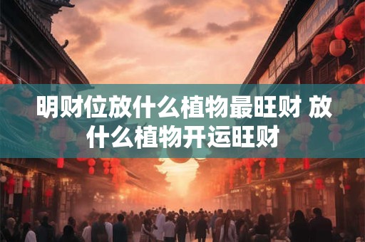 明财位放什么植物最旺财 放什么植物开运旺财 明财位放什么植物最旺财 放什么植物开运旺财