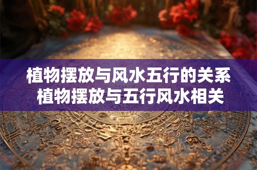 植物摆放与风水五行的关系 植物摆放与五行风水相关吗 植物摆放与风水五行的关系 植物摆放与五行风水相关吗