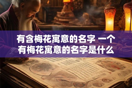 有含梅花寓意的名字 一个有梅花寓意的名字是什么 有含梅花寓意的名字 一个有梅花寓意的名字是什么