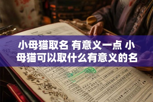 小母猫取名 有意义一点 小母猫可以取什么有意义的名字 小母猫取名 有意义一点 小母猫可以取什么有意义的名字