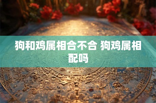 狗和鸡属相合不合 狗鸡属相配吗 狗和鸡属相合不合 狗鸡属相配吗